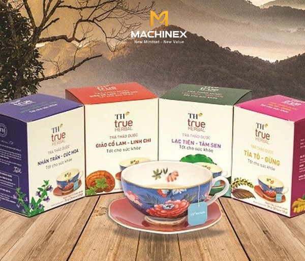 Startup đầu tư nhà máy trà túi lọc thảo dược - Nên hay Không?