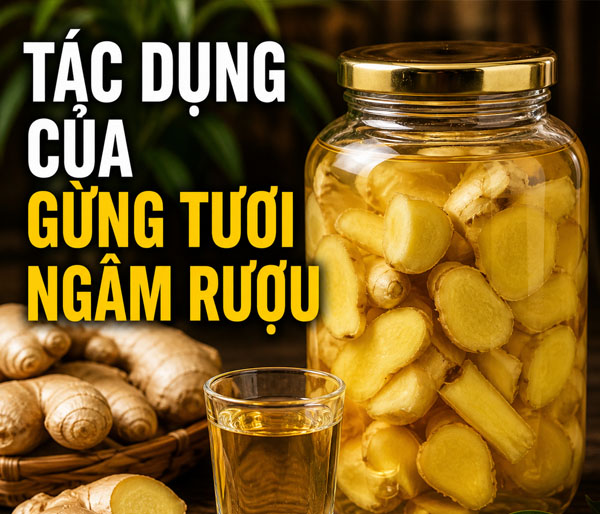 Tác dụng của gừng tươi ngâm rượu giúp giảm vòng eo cực nhanh chóng
