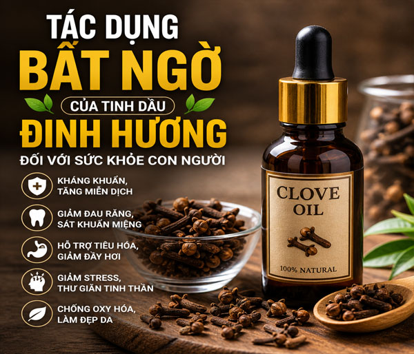 Tác dụng bất ngờ của tinh dầu đinh hương đối với sức khỏe con người