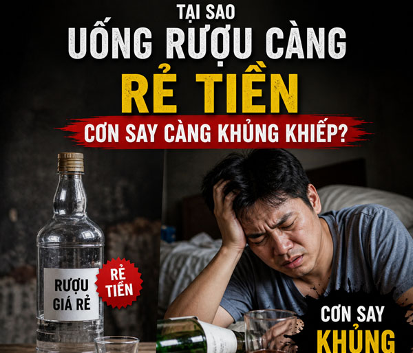 Tại sao càng uống rượu rẻ tiền cơn say càng khủng khiếp