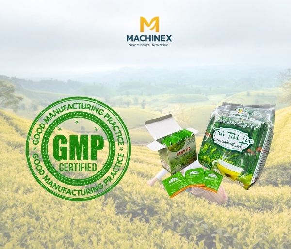 Tiêu chuẩn GMP cho sản xuất trà túi lọc thảo dược - Hướng dẫn đầy đủ