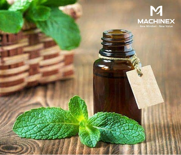 Tinh dầu bạc hà bị oxy hóa nhẹ có thay đổi mùi the ngọt hay không?