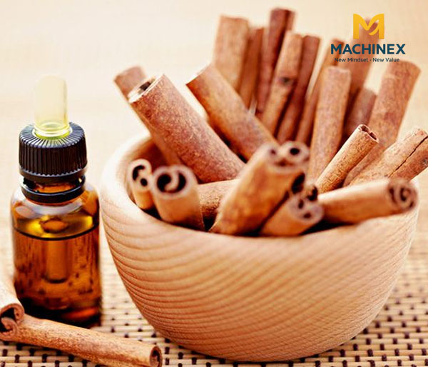 Tinh dầu quế thay đổi mùi theo mùa?