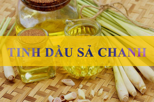 Sử dụng nồi chưng cất tinh dầu sả chanh nguyên chất tại nhà