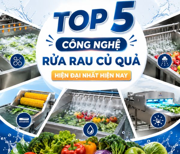 Top 5 Công Nghệ Rửa Rau Củ Quả Hiện Đại Nhất Hiện Nay