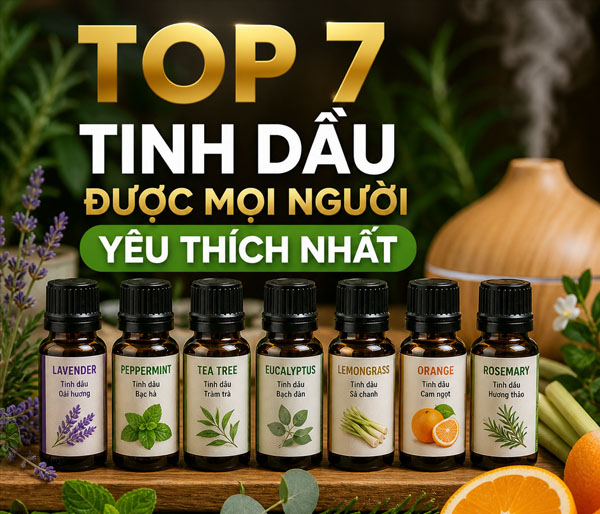 Top 7 tinh dầu được nhiều người yêu thích nhất