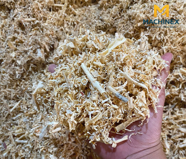Vì sao không nên ép viên nén gỗ từ mùn cưa chưa sấy?