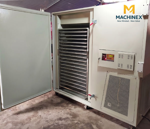 Vì sao máy sấy lạnh được xem là “bước tiến xanh” trong ngành chế biến