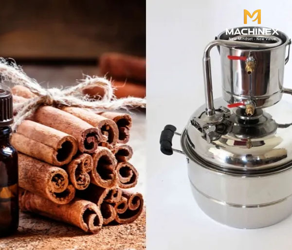 Vì sao tinh dầu quế có mùi gắt sau khi chưng cất?