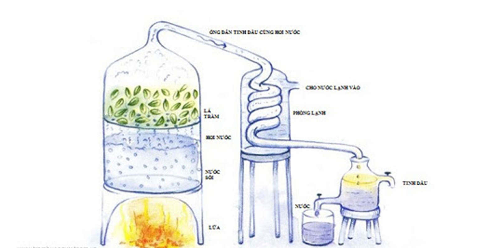 Condensation temperature of steam фото 109