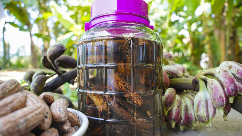 Cách ngâm rượu thuốc