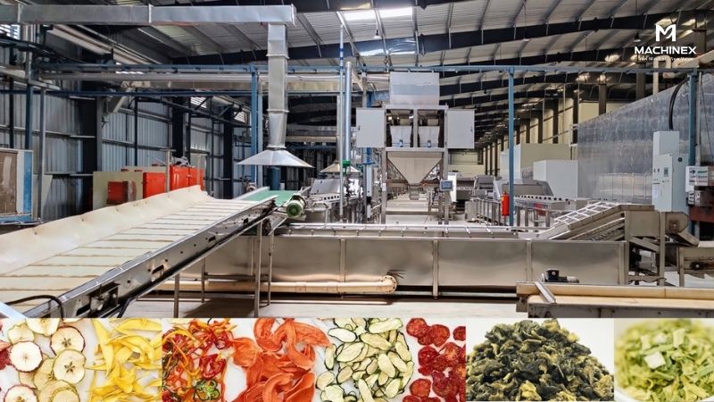 Hệ thống sấy nông sản