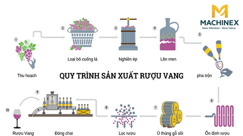 Chi tiết qui trình sản xuất rượu vang