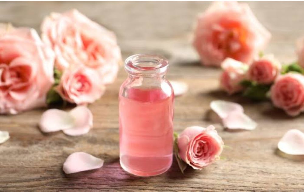 chiết xuất hoa hồng tại nhà