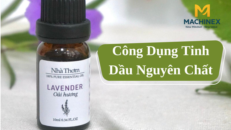 Công dụng Top 30 loại tinh dầu từ thiên nhiên