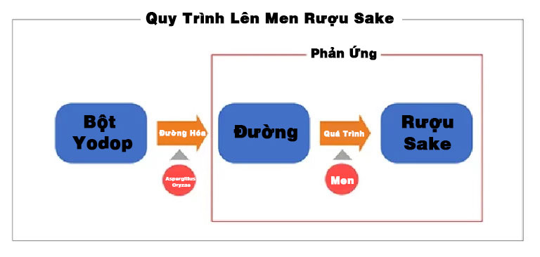 Công nghệ lên men rượu sake Nhật Bản