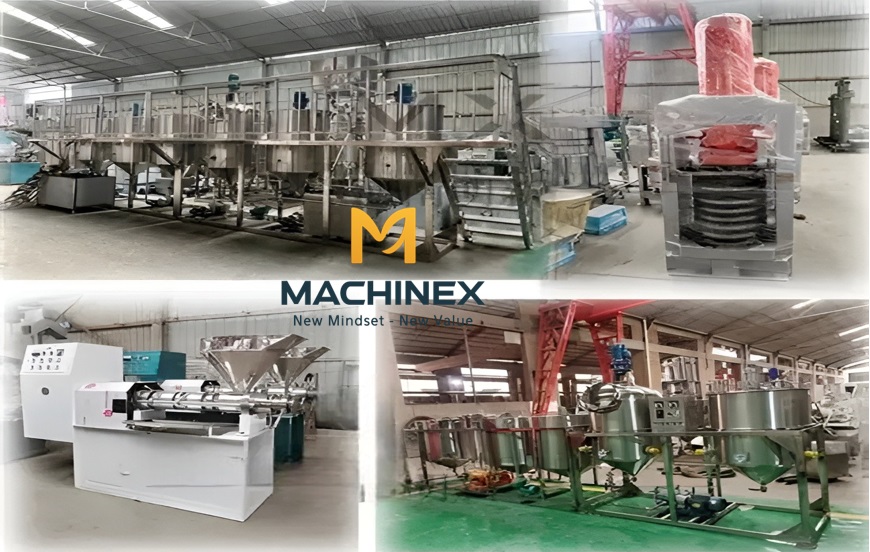Thiết bị lọc dầu dừa công nghiệp