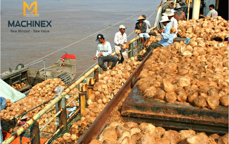 dầu dừa nguyên chất