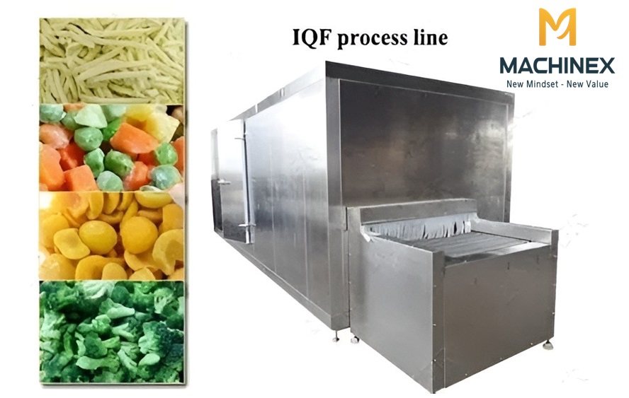 Hệ thống cấp đông trái cây hiện đại