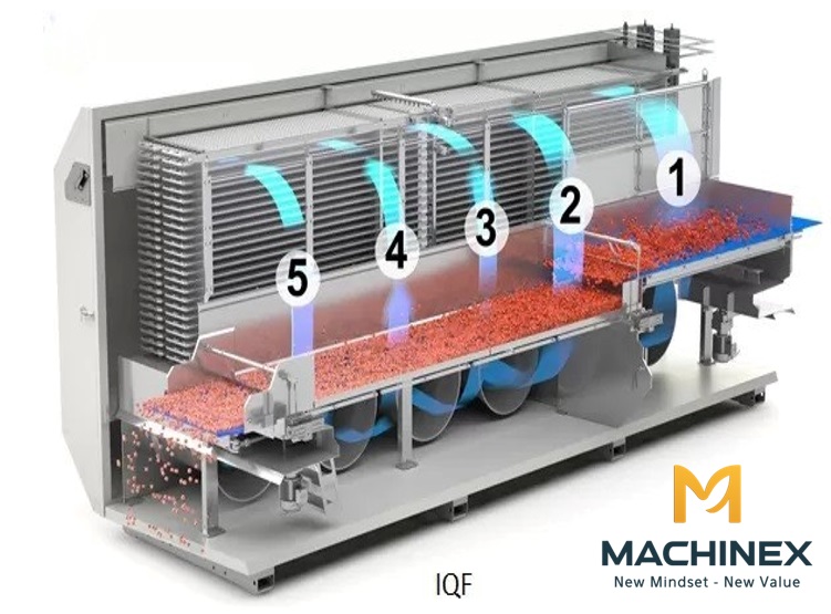 Sơ đồ máy cấp đông IQF công nghiệp