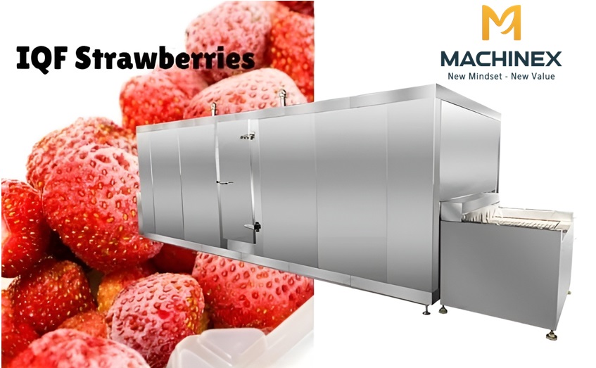 Dây chuyền cấp đông nhanh trái cây