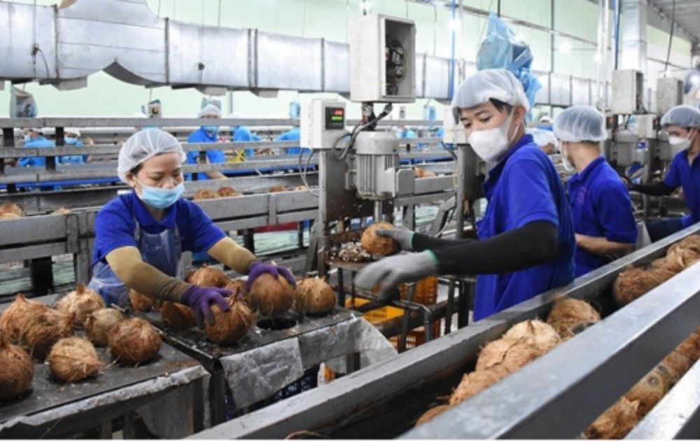 dây chuyền chế biến cốt dừa