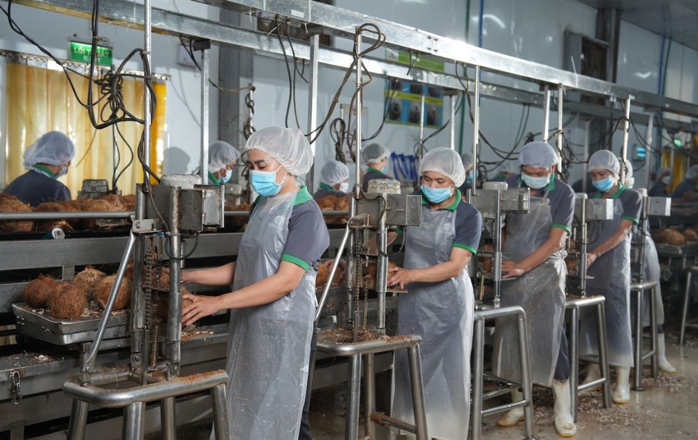 dây chuyền chế biến cốt dừa