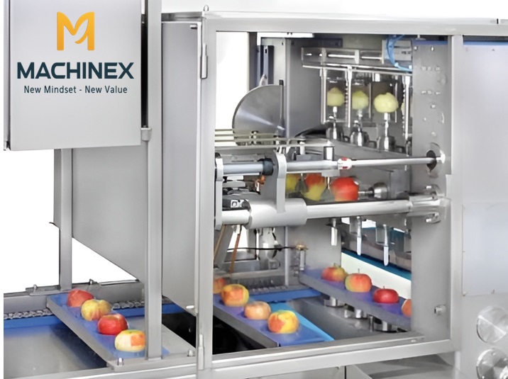 dây chuyền gọt hoa quả tự động Machinex