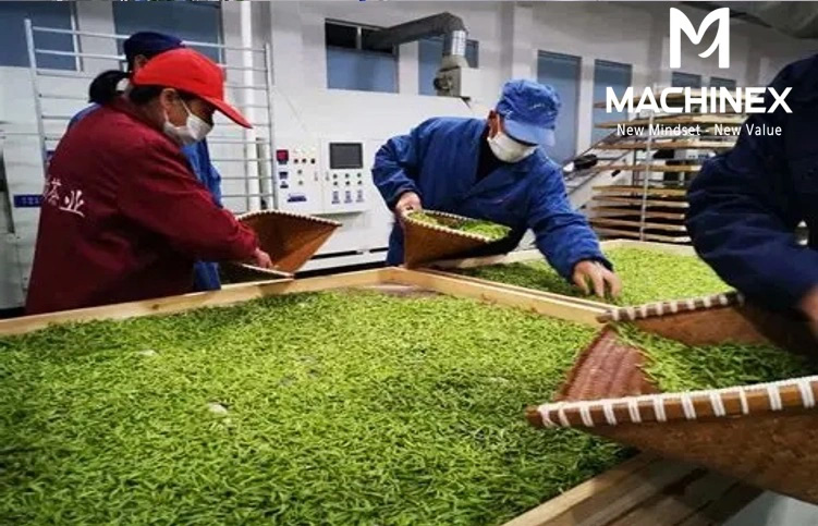 dây chuyền sản xuất nước trà thảo mộc