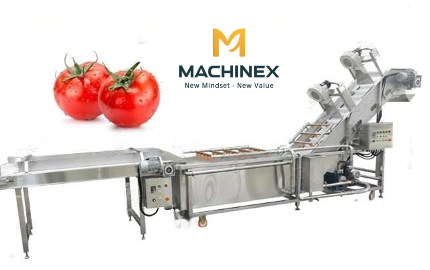 Máy rửa rau củ quả tự động machinex