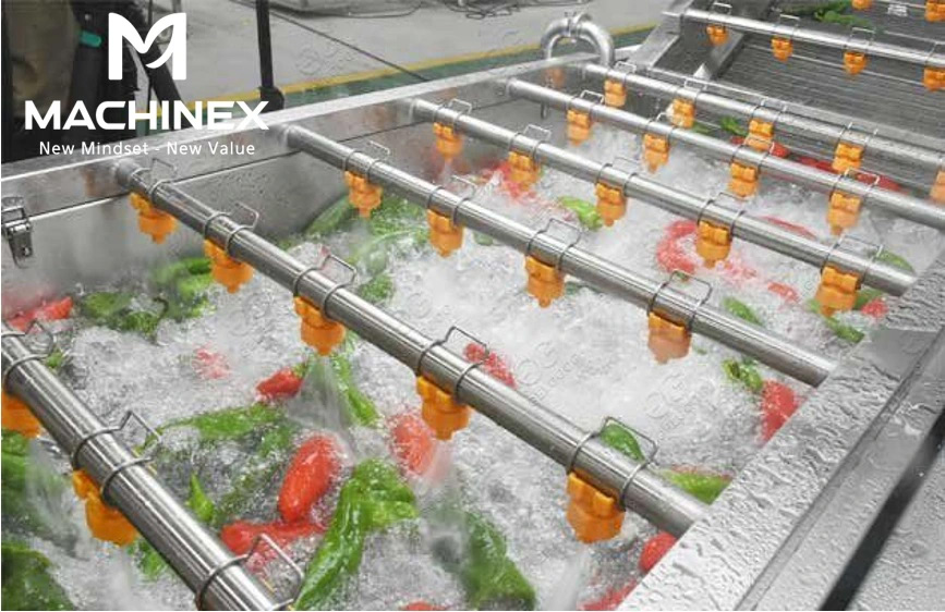 dây chuyền rửa trái cây nông sản