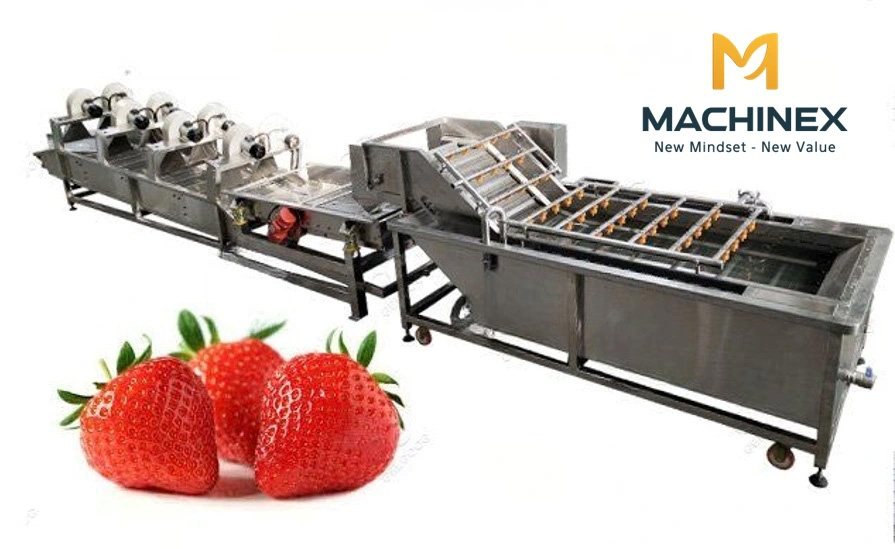dây chuyền rửa trái cây nông sản machinex