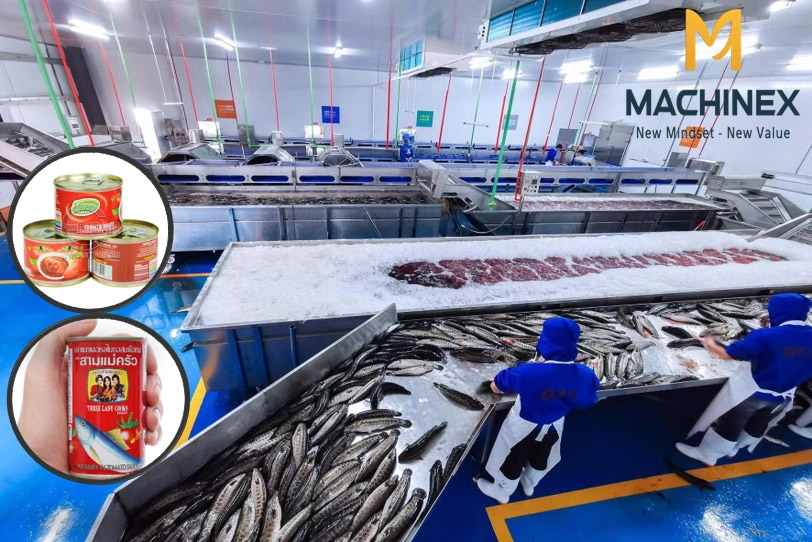 dây chuyền sản xuất cá đóng hộp