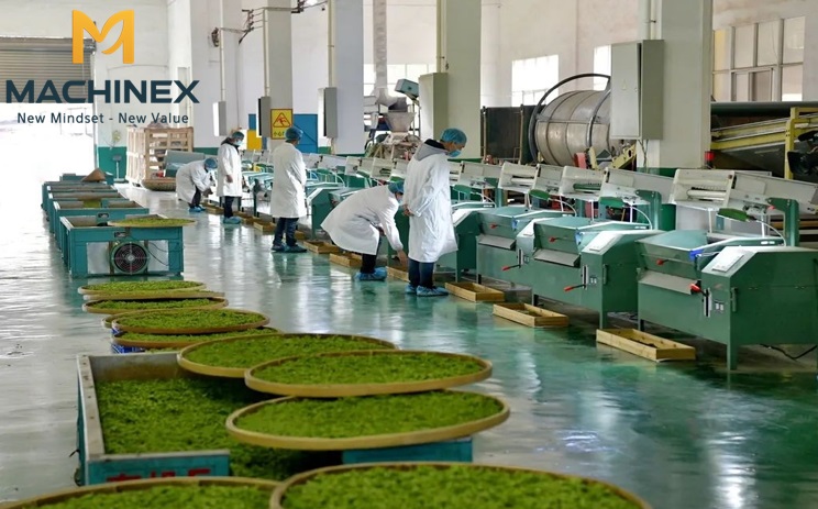 Hệ thống vận hành tự động