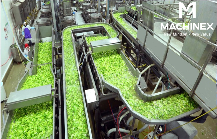 Công nghệ chế biến hiện đại