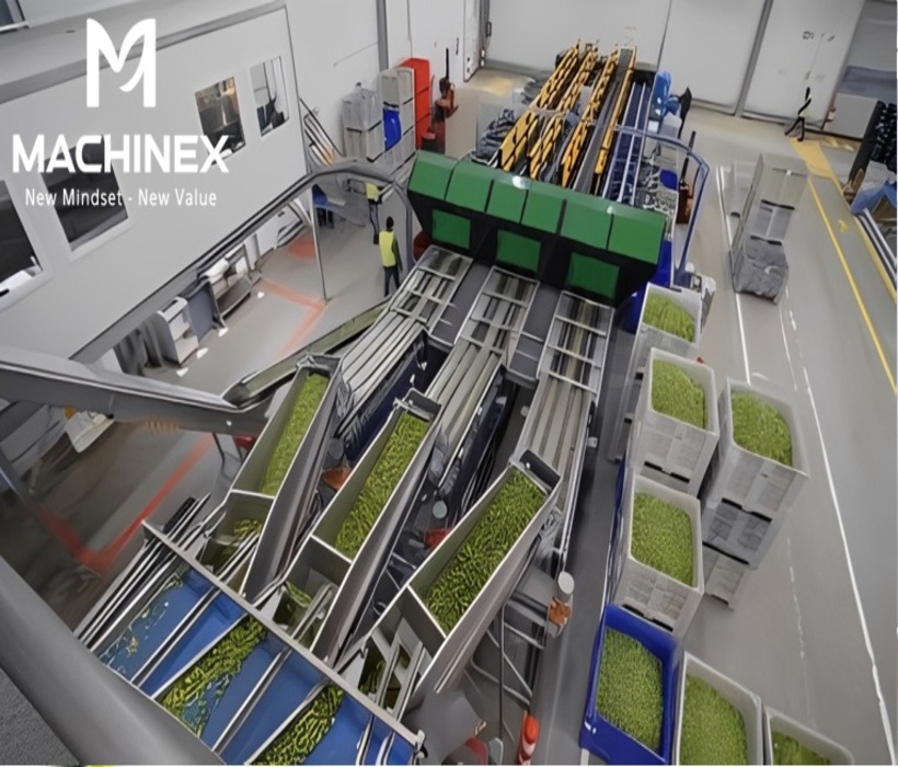 Dây chuyền sản xuất trà thảo mộc