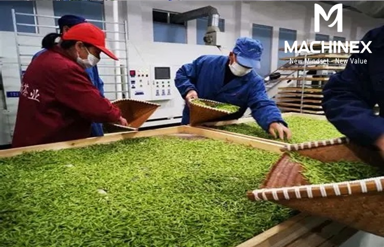 Hệ thống trích ly thảo dược