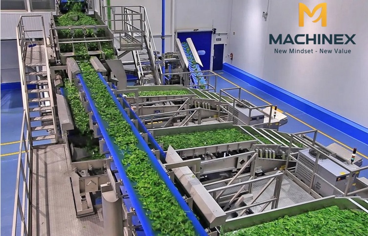 Quy trình sản xuất khép kín