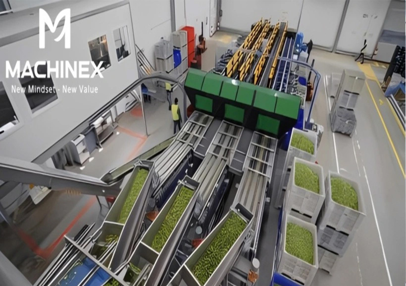 dây chuyền sản xuất nước trà thảo mộc