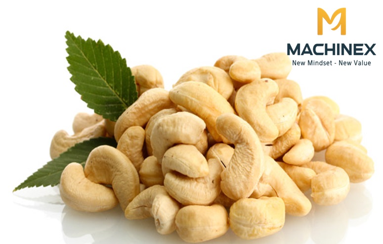 Rang sấy hạt điều tự động