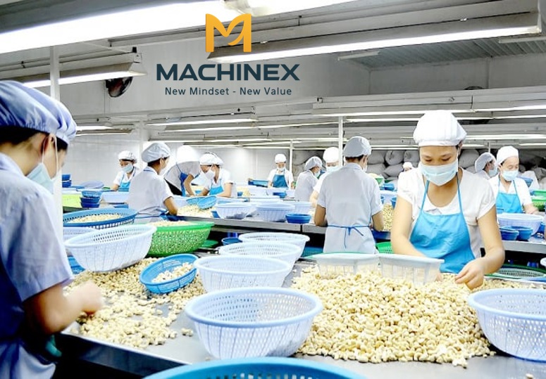 Dây chuyền sấy tẩm hạt điều