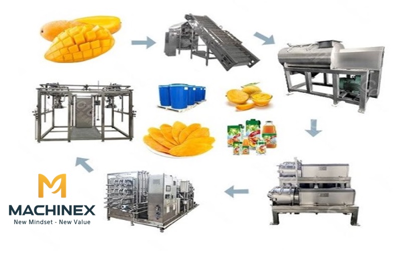 Ứng dụng trong xuất khẩu thực phẩm