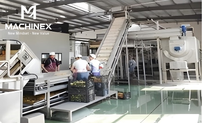 Quy trình sản xuất hiệu quả