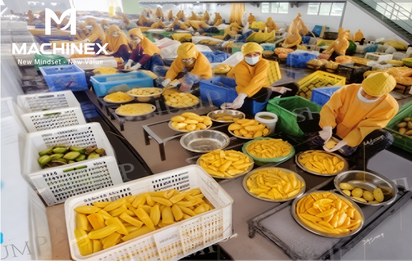 Hệ thống cắt và xử lý trái cây