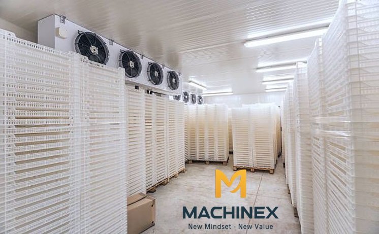 Hệ thống sấy hiện đại