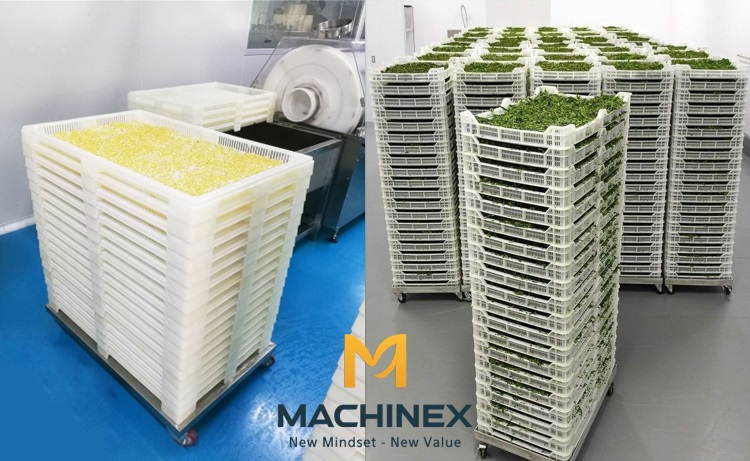 Hệ thống sấy lạnh tự động