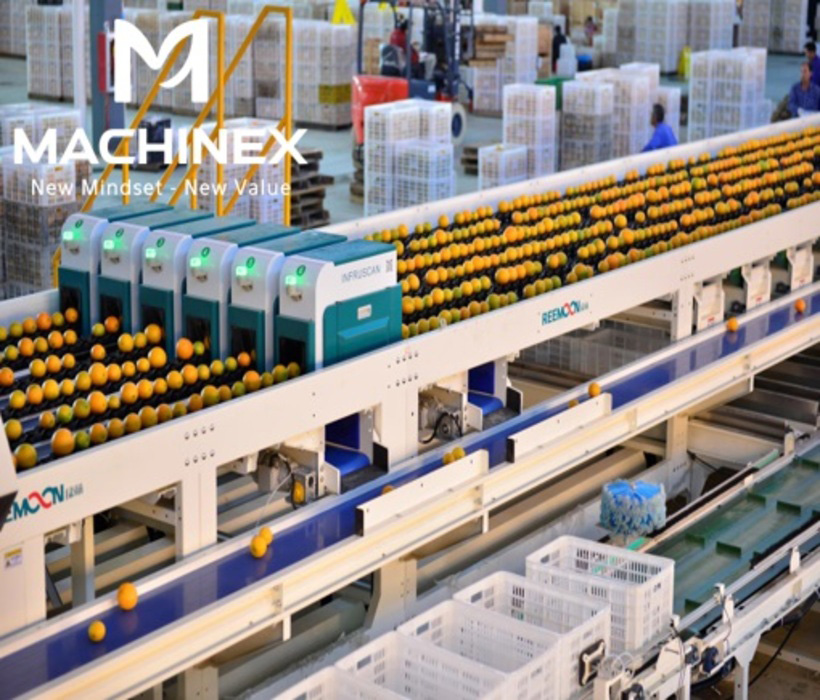 dây chuyền sơ chế, đóng gói, phân loại trái cây