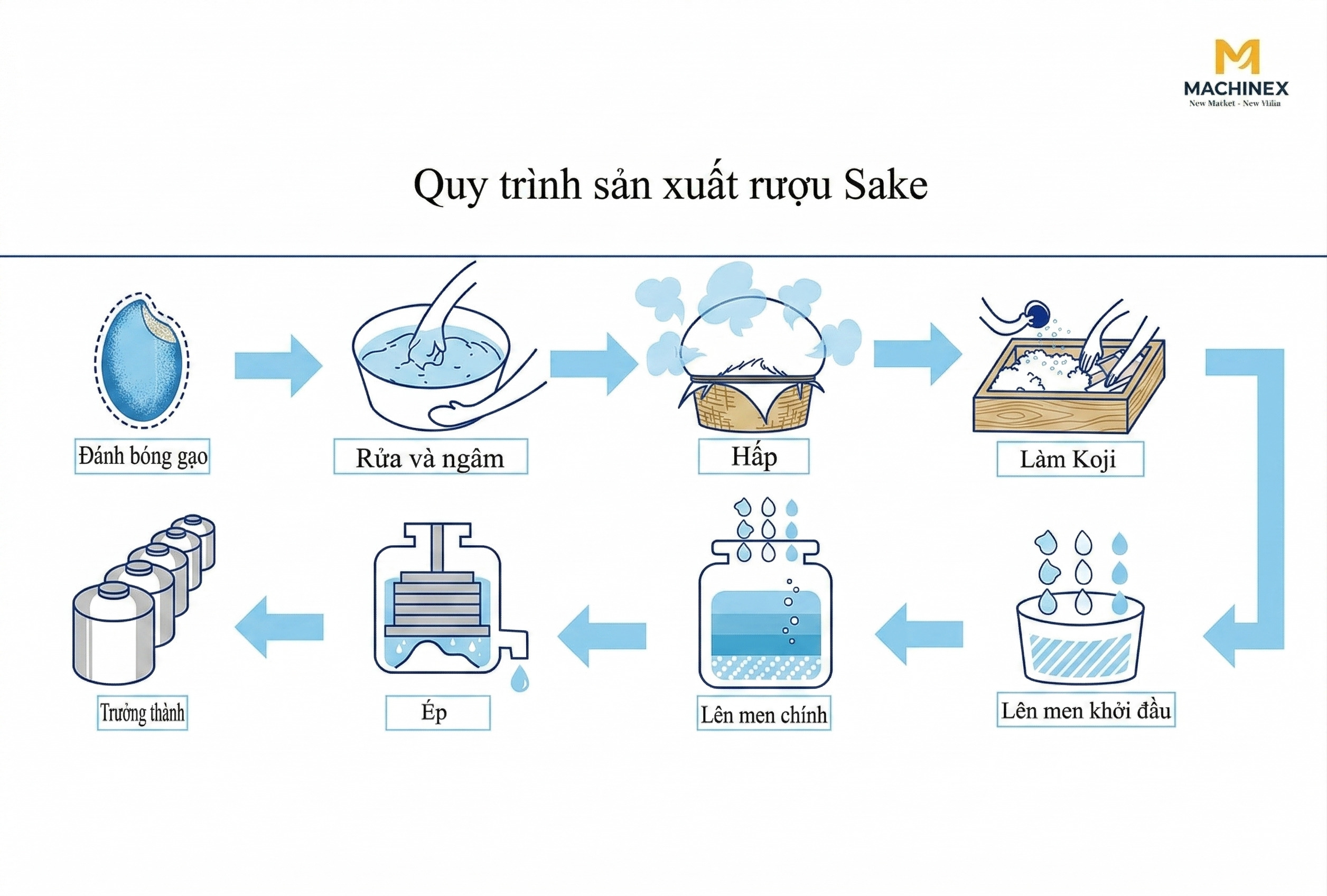 Quy trình sản xuất Sake truyền thống Nhật Bản