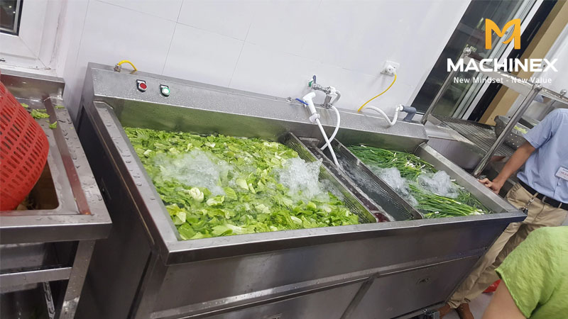 chọn mua máy rửa rau củ công nghiệp
