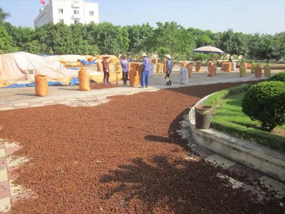 hoa hồi nguyên liệu